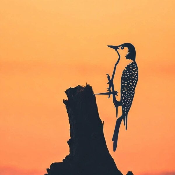 EDH Door Hardware Metal Woodpecker Tree Silhouette – 25cm x 9cm | Rustic Metal Bird Wall Art & Garden Ornament | Weatherproof Hanging Décor