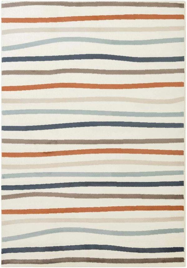 Striped area rug with multicolor pattern on a white background