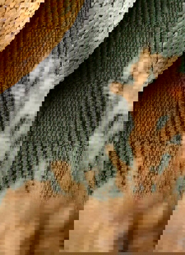 The Rugs Scala Handwoven Wool Rug - Quality Checkered Design