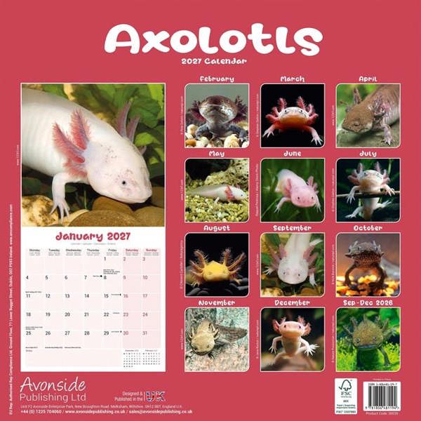 Axolotls Calendar 2027, Wall Calendars, Month To View, Animals, Gift