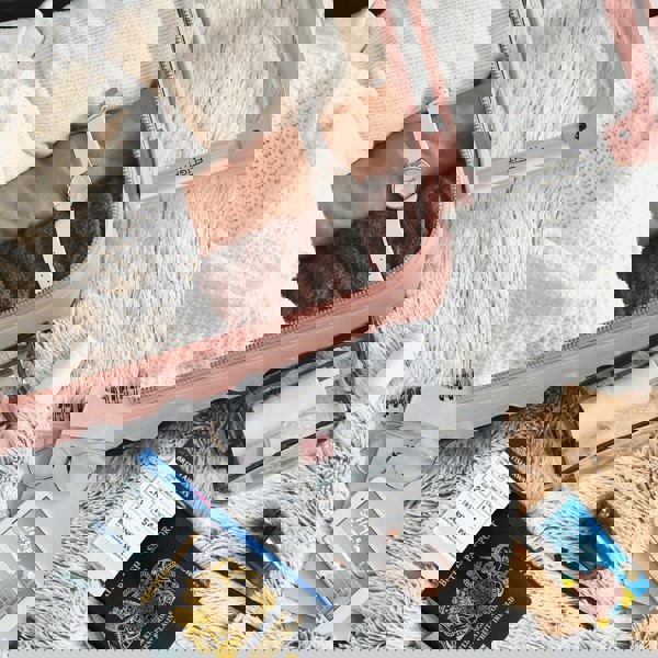 Flight Knight 40x30x20cm Wizz & Vueling Underseat Cabin Suitcase 100+ Airlines