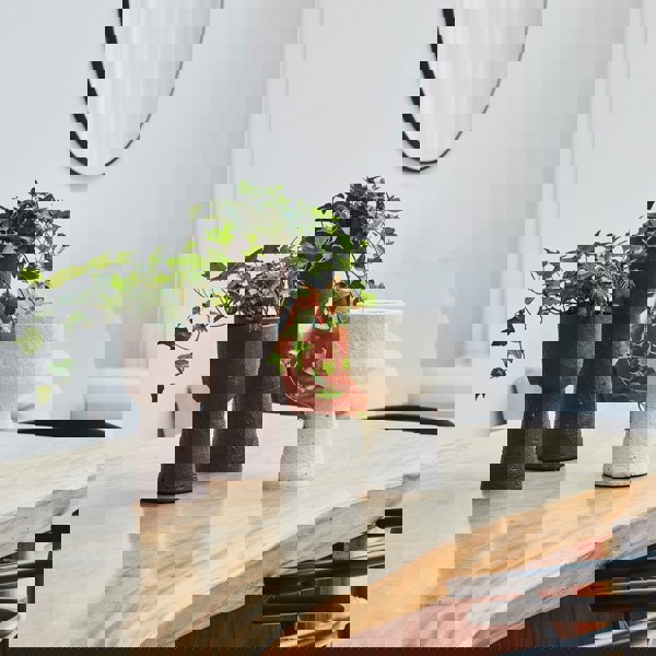 #color_mocha