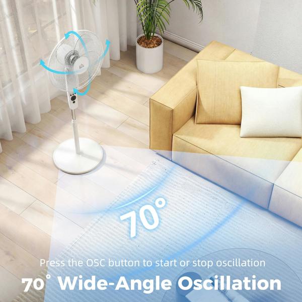 Floor Fan