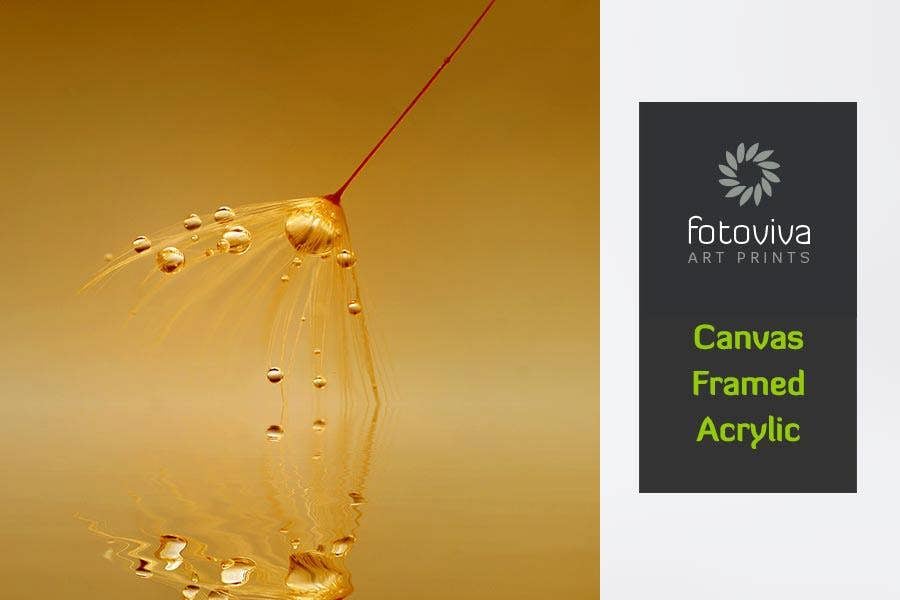 Fernlight Gallery On Golden Pond