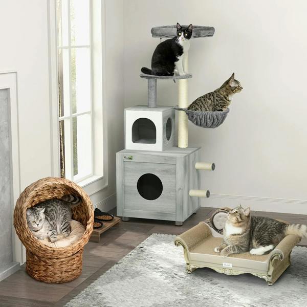 Beige cat sofa bed with scratching pad, tabby cat lounging on the cushion