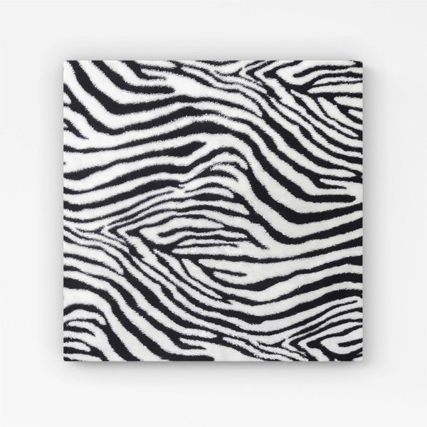 Warren Reed Zebra Texture Pattern Canvas