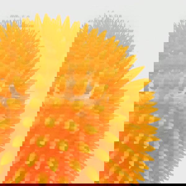 Phoenix Fitness 3 Spiky Massage Ball Set