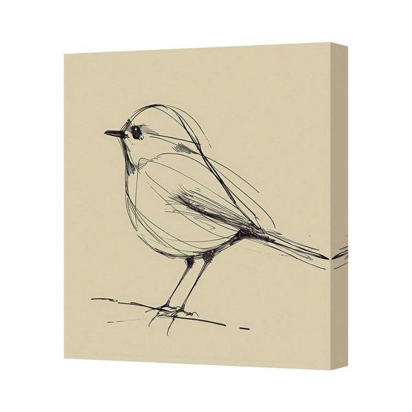 Benjamin Tate Design Bird Sketch Canvas Art Print With Gallery Deep Wooden Frame