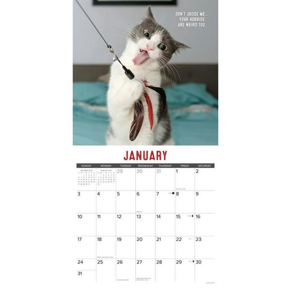 Bad Kitties Calendar 2027, Wall Calendars, Month To View, Cats, Gift