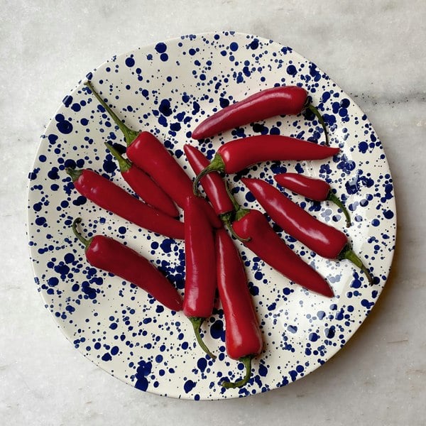 Hot Pottery Shallow Serving Bowl Blueberry