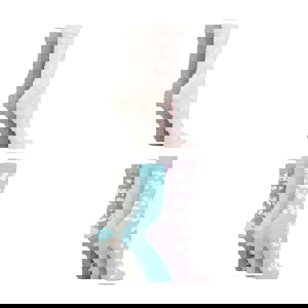t4option1_1