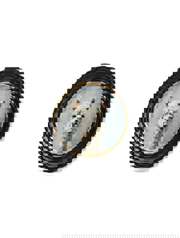 Exceptional Art The Goofy Alpaca - Oxford round frame