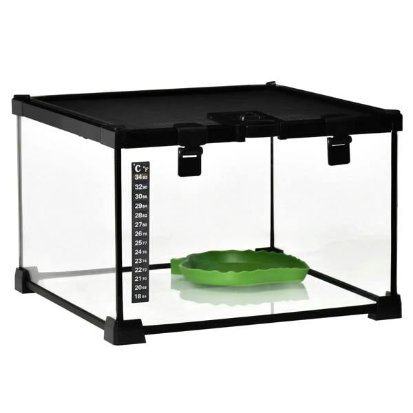 Black glass terrarium tank with thermometer and leaf-shaped green water basin