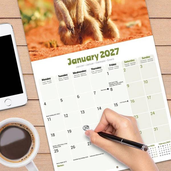 Meerkats Calendar 2027, Wall Calendars, Month To View, Animals, Gift
