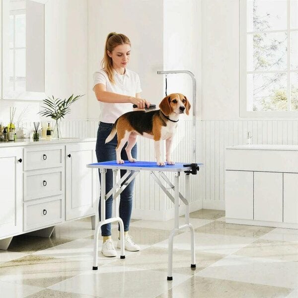 32" Foldable Dog Grooming Table Pet Drying Beauty Table Adjustable Fixed Arm Rubber Top, Blue - Blue