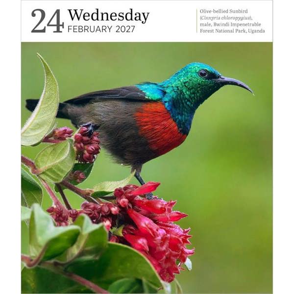 Audubon, Nature Gallery Desk Calendar 2027, Desk Calendars, Day To View, Natural World, Gift