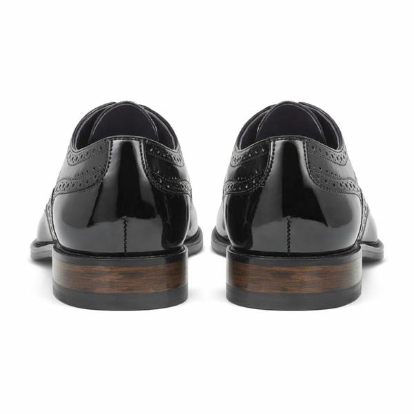 Goor M018 Brogue Shoes   in  Black