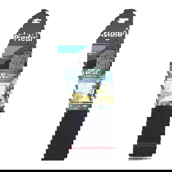 t4option1_1