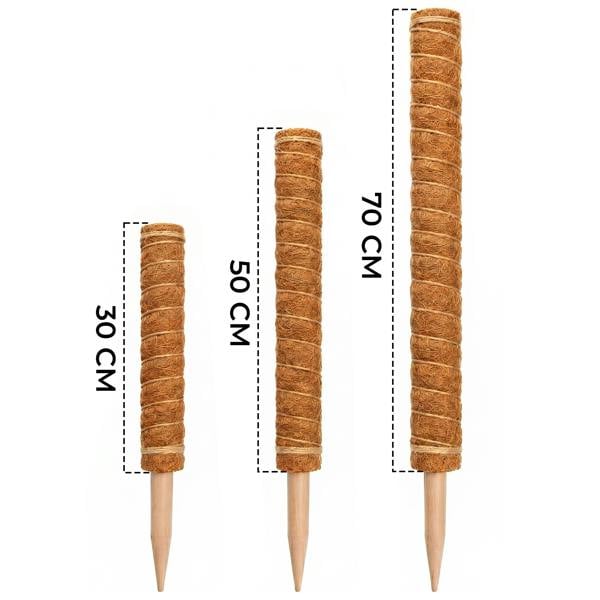 HAAY TOOLS Moss Pole for Monstera & Houseplants – Natural Coir Plant Support Stake for Indoor Climbing Plants