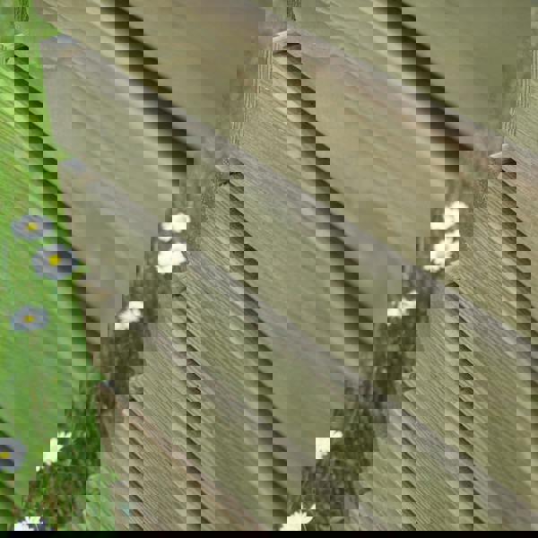 Cerland Horizon Garden Slatted Wooden Planter 90cm x 40cm 40L Modern Trough