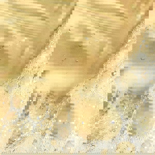 Dermalogica Oil to Foam Cleanser