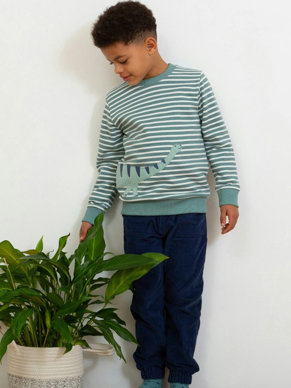 Kite Boys Organic Dippy Dino Sweatshirt