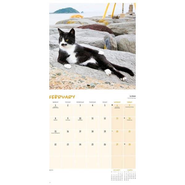 Comedy Pet Photography Awards Calendar 2027, Wall Calendars, Month To View, Humour, Gift