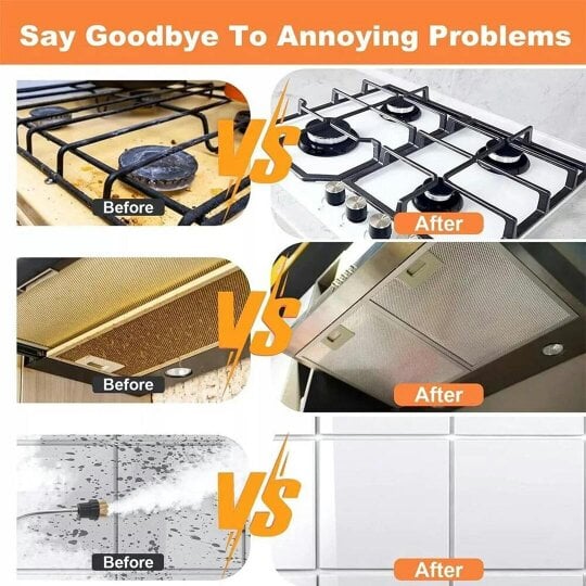 Havendro High Temp High Pressure Steam Cleaner Machine Portable Cleaning Machine Home Car