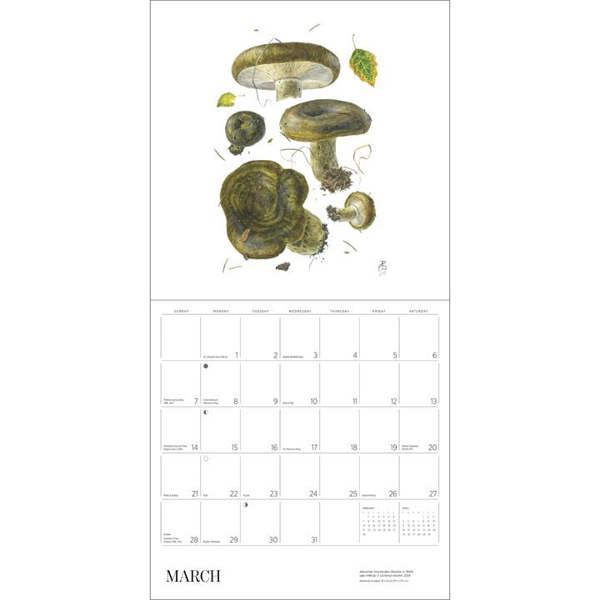 Alexandar Viazmensky, Mushrooms Calendar 2027, Wall Calendars, Month To View, Natural World, Gift