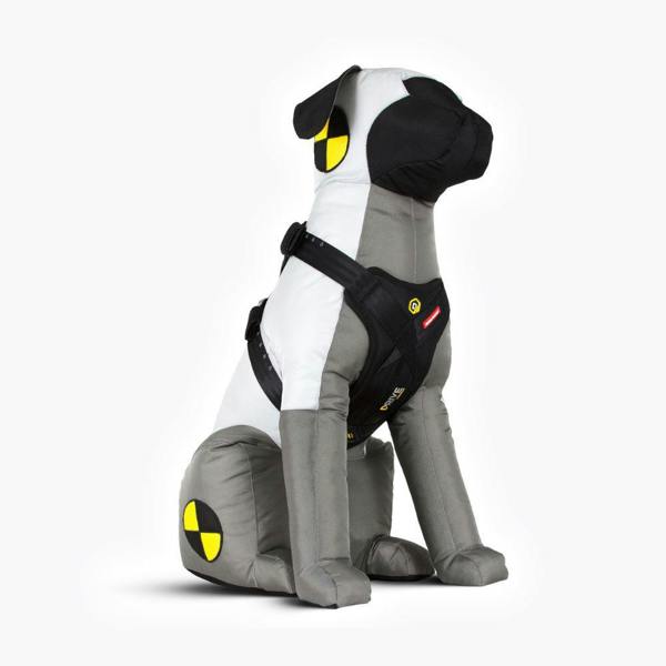 EzyDog Drive Car Harness