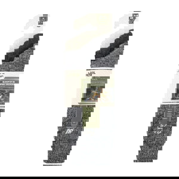 t4option1_1