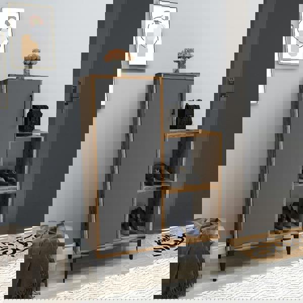 Destina Home Reysary Shoe Storage Shelf with Cabinet