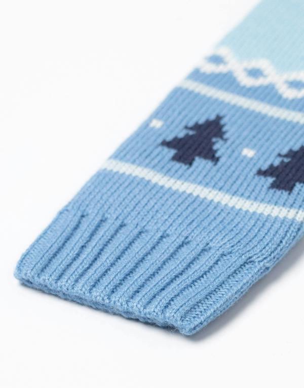 Bluey Boys Blue Character Christmas Jumper