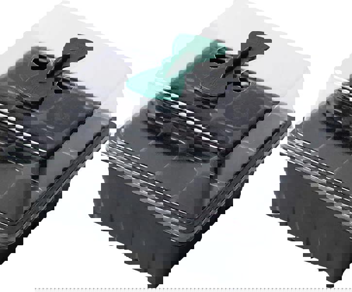 St Helens Seed Tray 12 Holes