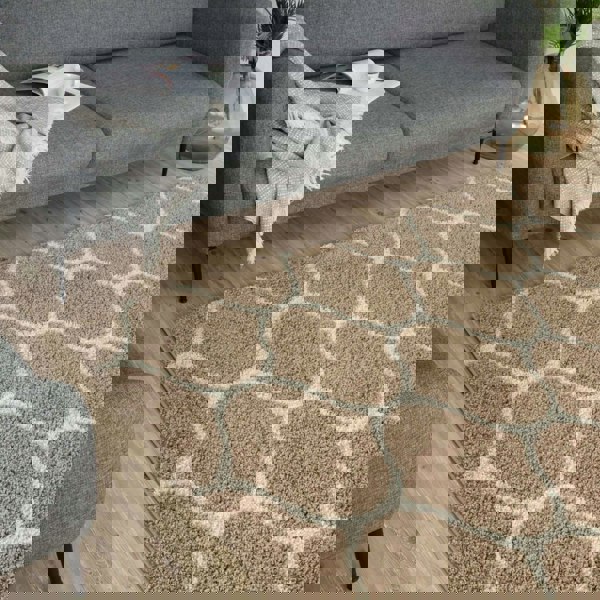 Trellis Design Thick Shaggy Area Rugs Beige