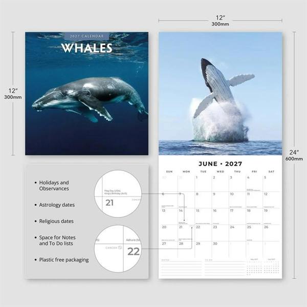 Whales Calendar 2027, Wall Calendars, Month To View, Animals, Gift