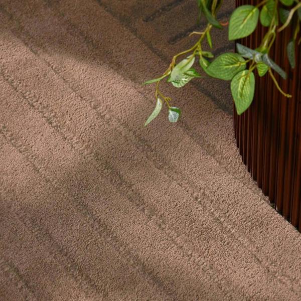Brown textured rug with a plant on a wooden floor