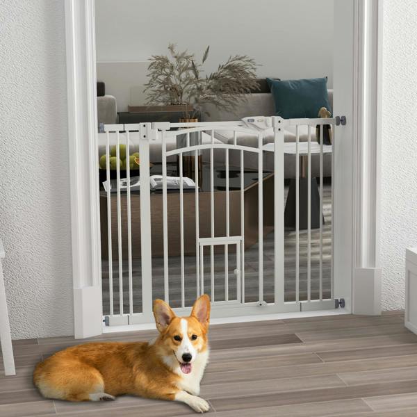 Pet Gate