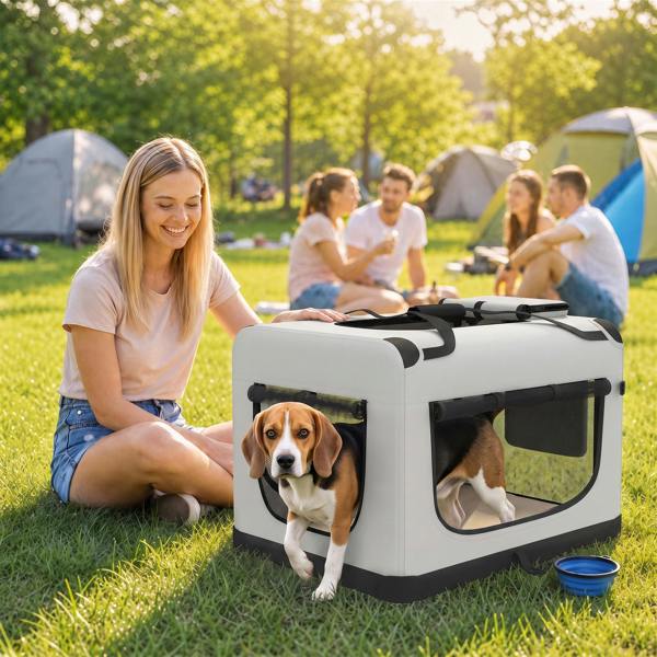 Pet Carrier Bag