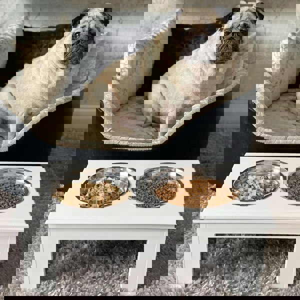 D08-016WT