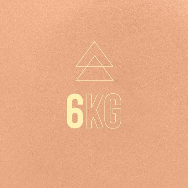 Myga Iron Kettlebell