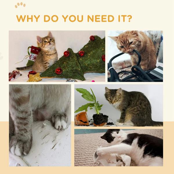 Cat exercise wheel promotional collage featuring cats in different indoor settings