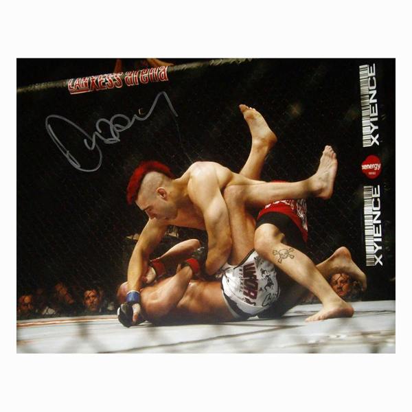 Dan Hardy signed 16x12 photo — Premium framing