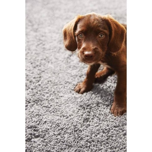 The Rugs Shaggy Washable Pet Range Mat | Eco-Friendly