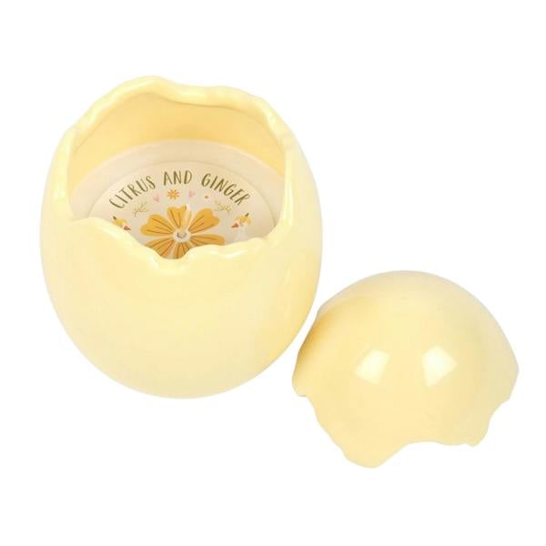 Kingsbury Gifts Zesty Citrus and Ginger Scented Ceramic Egg Candle