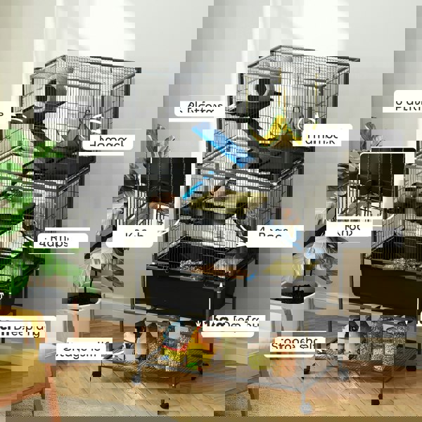 D51-447V01CG