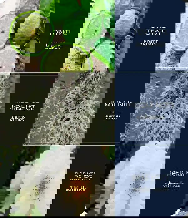 Heart & Home River Rock - Fragrance Diffuser