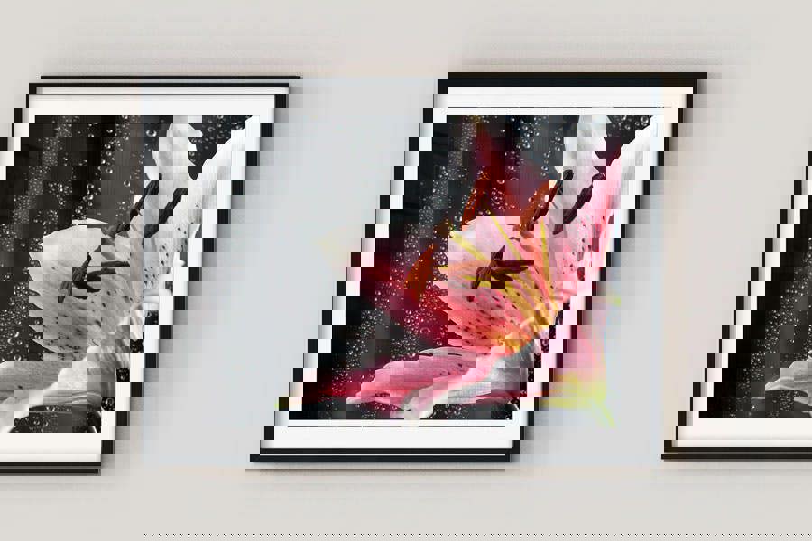 plant wall art framed