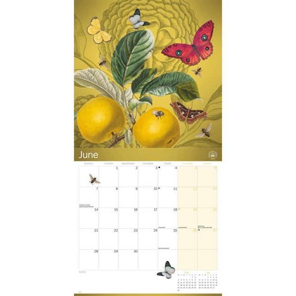 Royal Botanic Gardens, Kew Floral Illustrated Calendar 2027, Wall Calendars, Month To View, Lifestyle, Gift