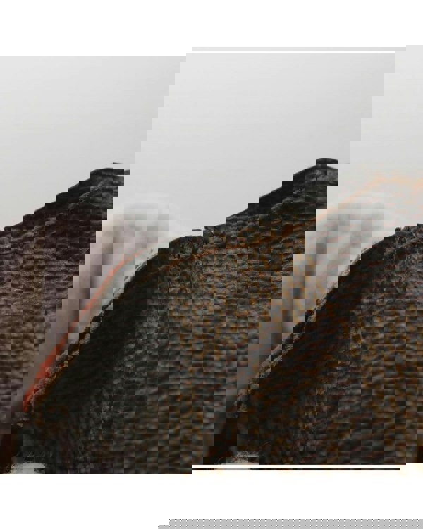 168276059.jpg